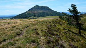 Vétérinaire de garde Clermont-Ferrand